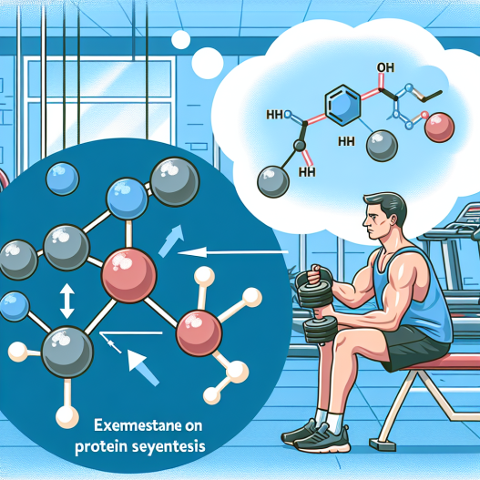 Gli effetti dell'Exemestane sulla sintesi proteica nel contesto sportivo